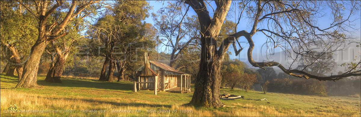 Peter Bellingham Photography Oldfields Hut - Kosciuszko NP - NSW (PBH4 00 12809)
